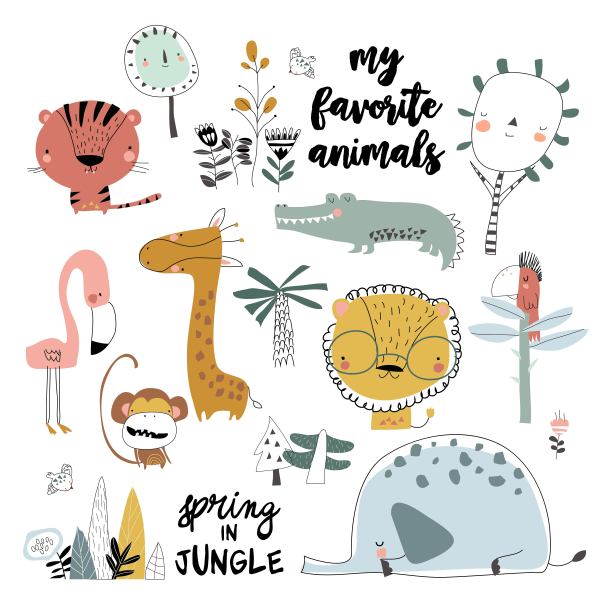 一套卡通野生动物在白色的背景图片下载