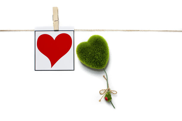 空白即时照片和情人节爱心装饰图片下载