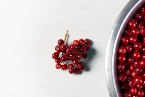 成熟的红色荚蒾浆果在碗中白色背景图片下载