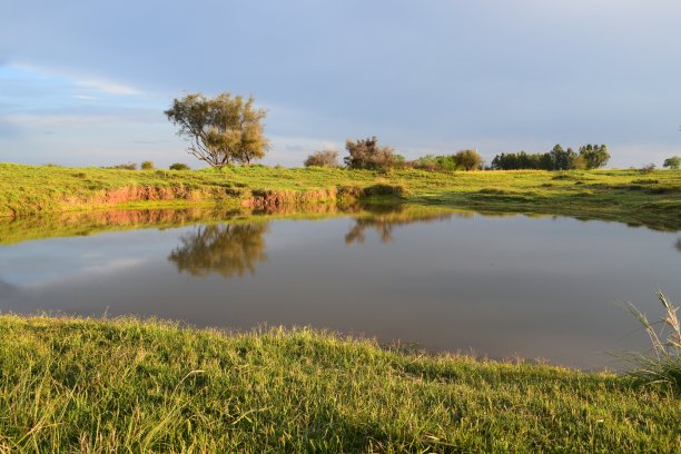 雨后阳光在水中的反射图片下载