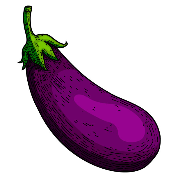 茄子雕刻插画。设计元素海报，卡片，横幅，菜单。矢量图图片下载