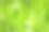 大自然——青草中的露珠。清新的绿色概念和抽象的色彩背景。素材图片