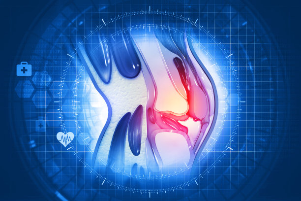 人体膝盖横截面的科学背景图片下载