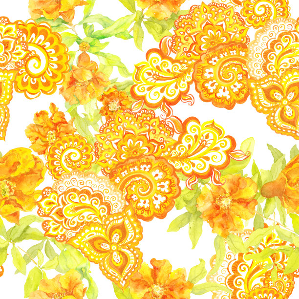 孔雀鸟。水彩图片下载