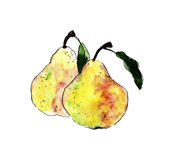 两个手绘的粗糙梨图片下载