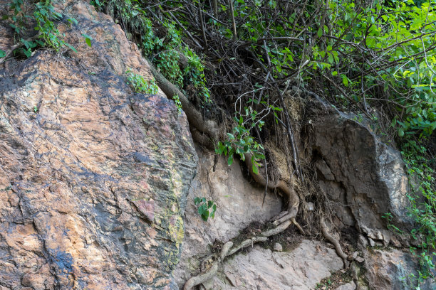 表面岩石峭壁与杂草。图片下载