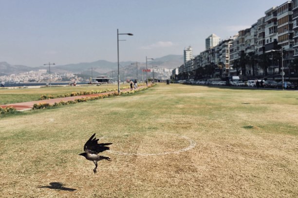 从土耳其伊兹密尔的科尔登看Alsancak区图片下载