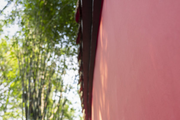 一片翠绿的竹林，旁边是一堵古老的红墙，阳光下图片下载