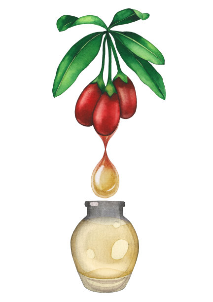用枸杞植物装饰的水彩精油瓶图片下载