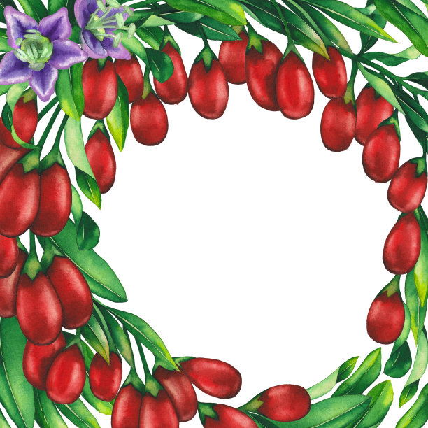 水彩枸杞浆果，花和叶。手绘花卉图案图片下载