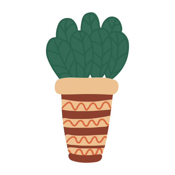 花盆里的多肉室内植物。图片下载