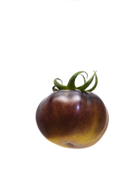 黑番茄，孤立的物体番茄品种"瓦格纳"。复制空间。图片下载