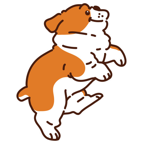 可爱的英国斗牛跳侧视图图片下载