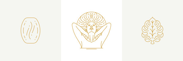 线条装饰设计元素集合图片下载