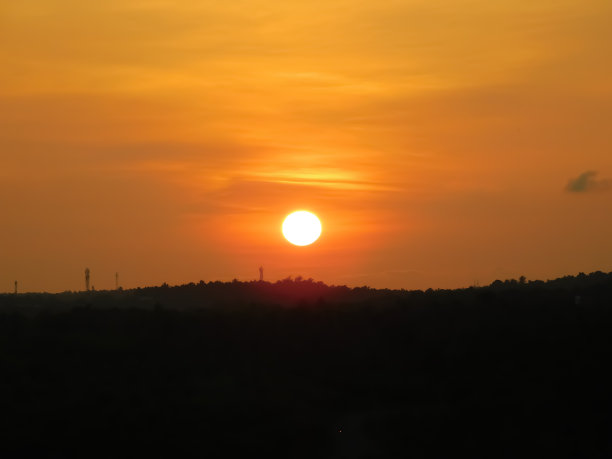 令人惊叹的橙色日落在黑暗的植物图片下载