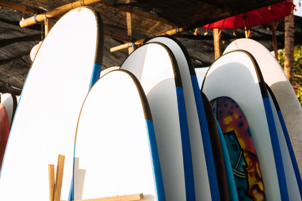 在阳光下的海滩上出租的白色冲浪板。多种颜色的冲浪板不同大小和颜色的冲浪板在看台，冲浪板出租的地方图片下载
