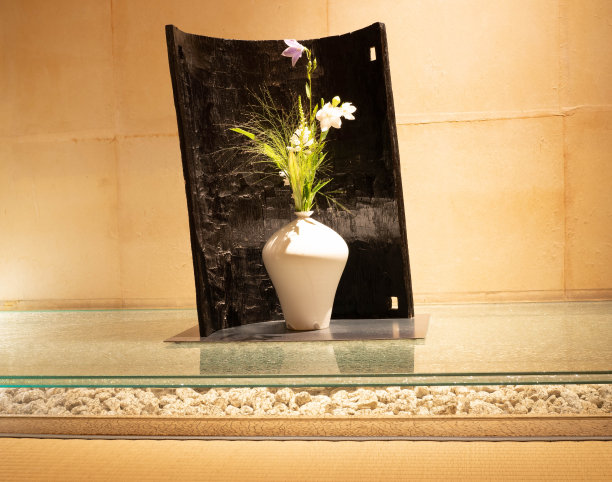 简约的植物图片下载