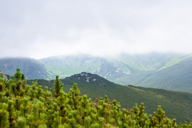 夏季山脉的景色。美丽的景观图片下载