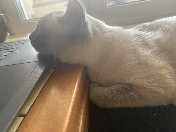 积极的工作图片下载