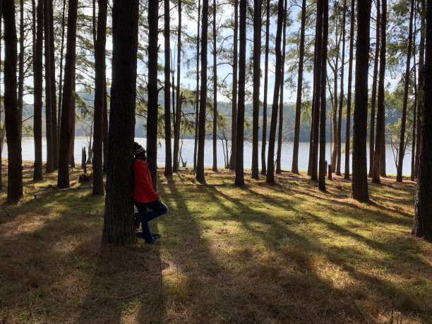成熟的女人在天性中孤独图片下载