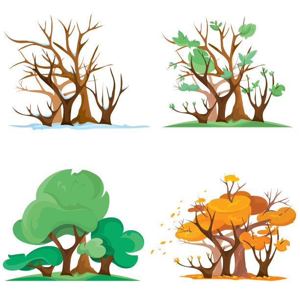 森林在不同的时间。图片下载