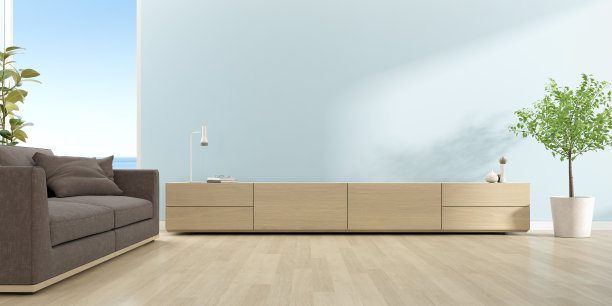 现代客厅的3D渲染，空墙上有电视柜和沙发。图片下载