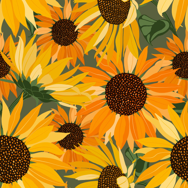 大的黄色向日葵花图案在绿色的背景上图片下载