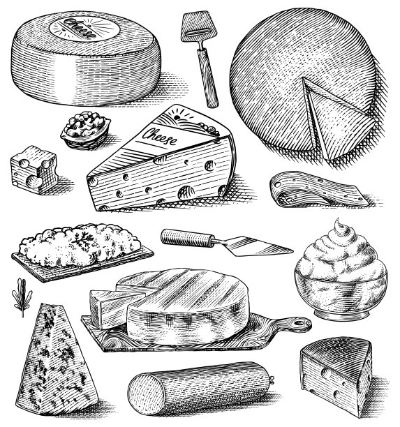 奶酪。市场或杂货店买的马萨里拉奶酪片。奶酪板和新鲜有机牛奶。矢量雕刻手绘草图标签，海报或菜单图片下载