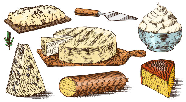 奶酪。市场或杂货店买的马萨里拉奶酪片。奶酪板和新鲜有机牛奶。矢量雕刻手绘草图标签，海报或菜单图片下载