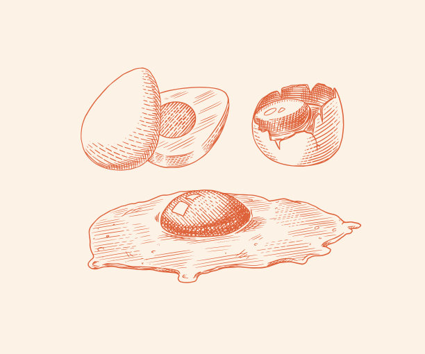 鸡蛋和蛋黄，炒蛋，壳和农产品。雕刻手绘复古素描。木刻风格。矢量插图菜单或海报图片下载