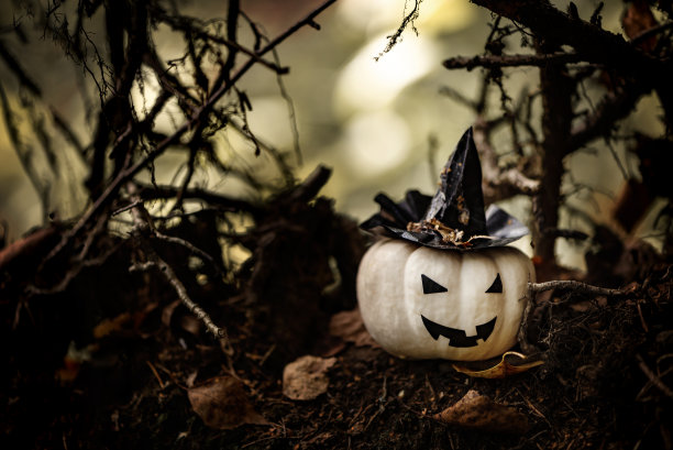 万圣节南瓜与丑陋的微笑戴着黑色女巫帽在幽灵森林图片下载