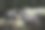 破碎躺下的菩提树原木图片下载