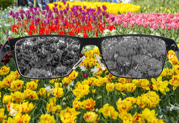 褪色的观点，在玻璃上的郁金香对彩色的背景。萧条时期的世界认知。医疗条件。健康和疾病概念。图片下载