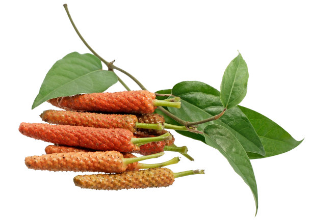 在白色背景上分离的长辣椒图片下载