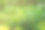 夏天的花园灌溉图片下载