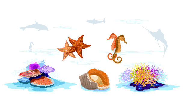 珊瑚礁，海星，海马，脉拉帕图片下载