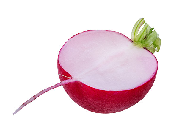 切片萝卜孤立在白色背景上图片下载