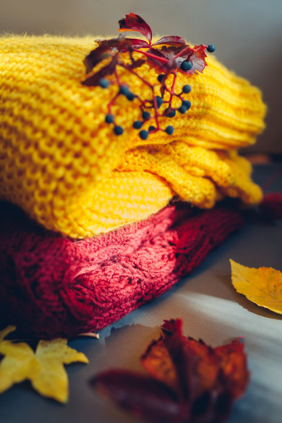 秋天的衣服。覆盖着树叶和浆果的黄色和酒红色毛衣。平躺，俯视图图片下载