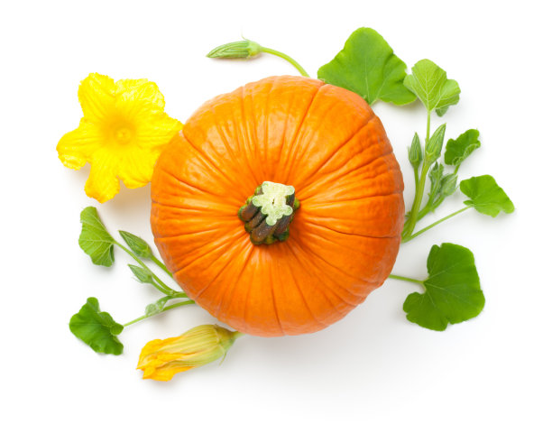 黄花南瓜蔬菜图片下载