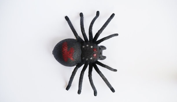 白色背景上的黑色发条塑料玩具蜘蛛，特写。庆祝亡灵之日的概念，万圣节。俯视图，平放图片下载