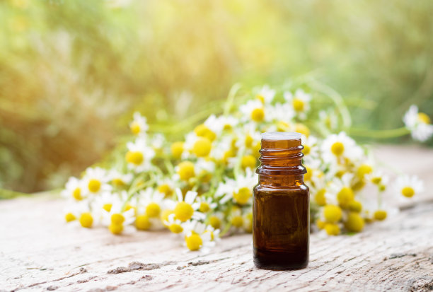 在一个春天的花园，药油瓶和洋甘菊植物盛开的药草躺在一张木桌上图片下载