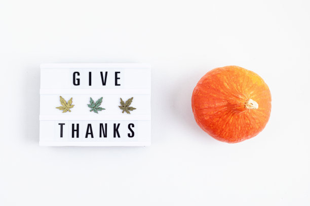 摘要感恩节平铺构图素材图片