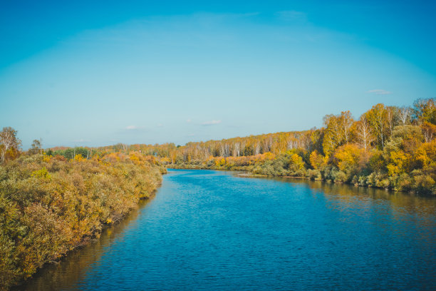 这条河四周都是树图片下载