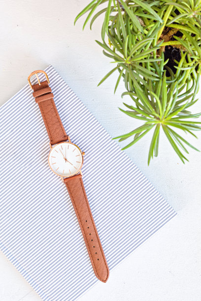 风格最小的桌面模型与有机颜色文具，手表和花盆。自由职业者，社交媒体博主的概念。平躺，俯视图图片下载