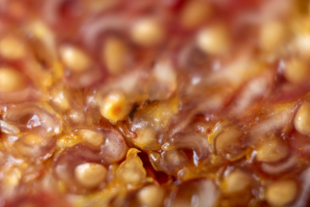 微距摄影中无花果的果肉。图片下载