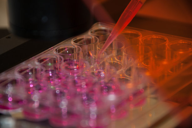 多管、多井塔板，微生物实验室实验图片下载