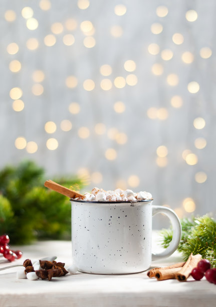 圣诞白色杯与热巧克力和棉花糖和红色浆果与肉桂棒垂直照片图片下载