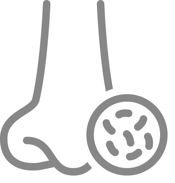 人的鼻子有细菌线象病的图片下载