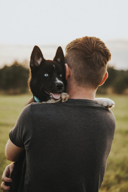 人与狗图片下载