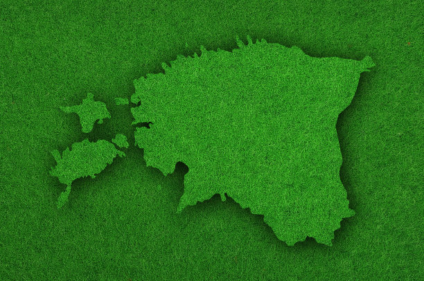 绿色毛毡上的爱沙尼亚地图图片下载